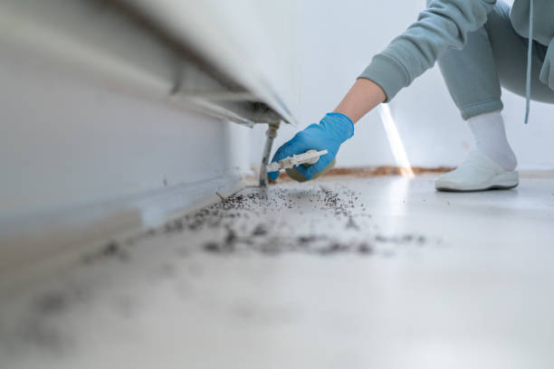 Best Cockroach Control Services  in Vanceburg, KY